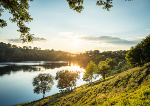 shutterstock 1855297414 516x364 - Im Einklang mit der Natur: Wandern als Auszeit in der Eifel